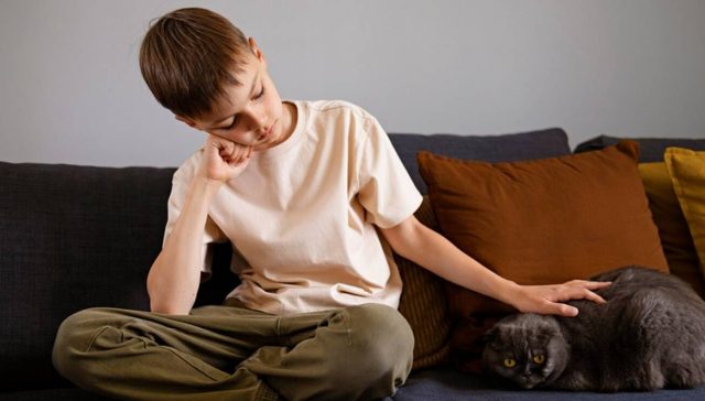 Evcil hayvanlarda stresi azaltmanın yolları.