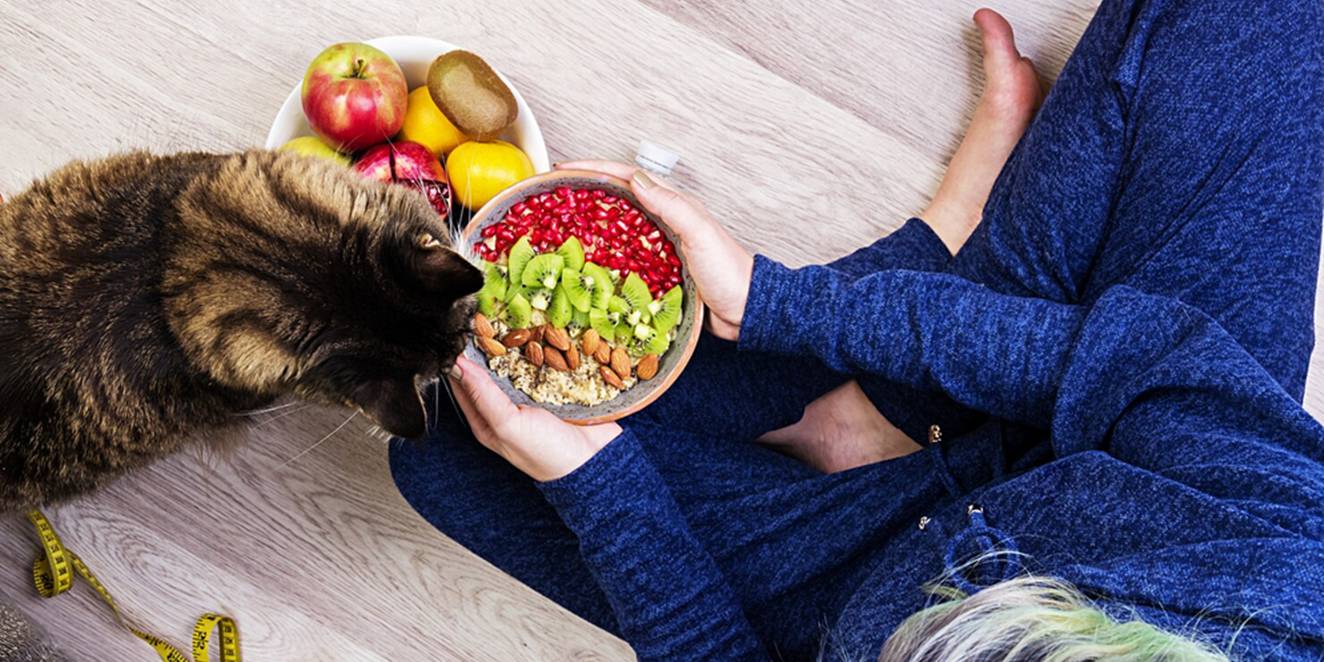 kedilerde-beslenme-saglikli-mama-secimi-ve-ipuclari